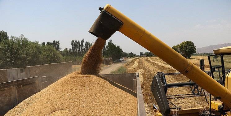 گندم روسیه هفته آینده راهی ایران میشود
